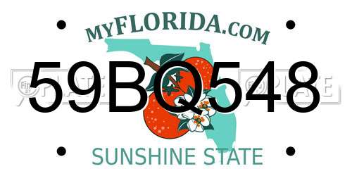 59BQ548 Florida License Plate