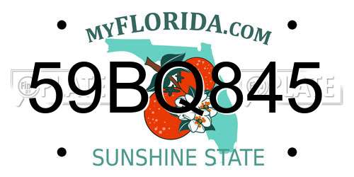 59BQ845 Florida License Plate