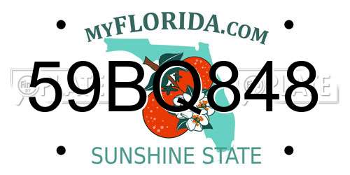 59BQ848 Florida License Plate
