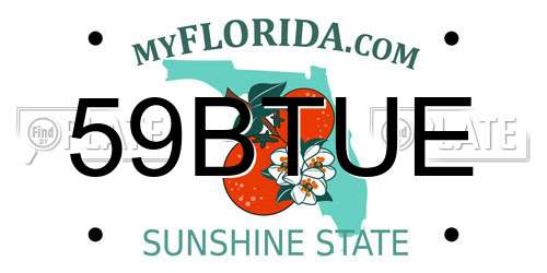 59BTUE Florida License Plate