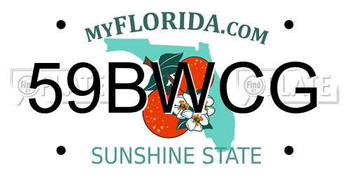 59BWCG Florida License Plate