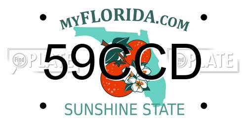59CCD Florida License Plate
