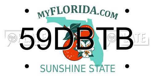 59DBTB Florida License Plate