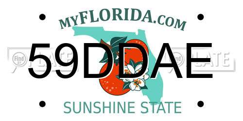 59DDAE Florida License Plate
