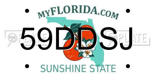 59DDSJ Florida License Plate