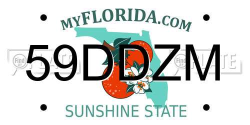 59DDZM Florida License Plate