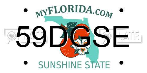 59DGSE Florida License Plate