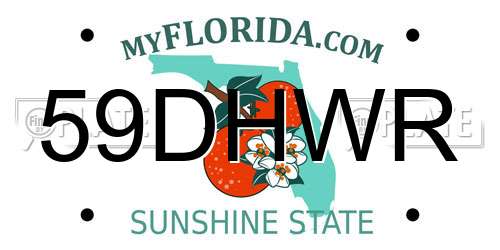 59DHWR Florida License Plate