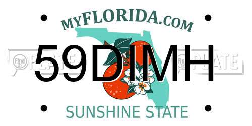 59DIMH Florida License Plate