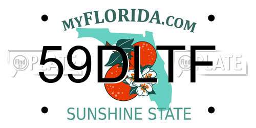 59DLTF Florida License Plate
