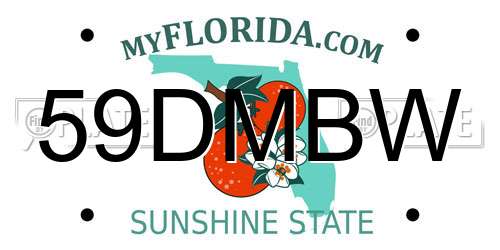 59DMBW Florida License Plate