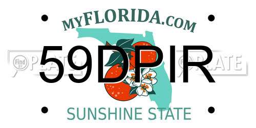 59DPIR Florida License Plate