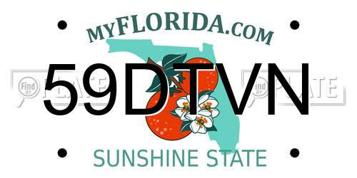 59DTVN Florida License Plate