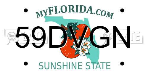 59DVGN Florida License Plate