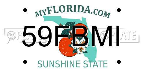 59FBMI Florida License Plate