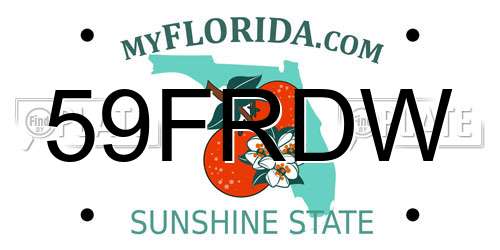 59FRDW Florida License Plate