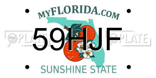59HJF Florida License Plate