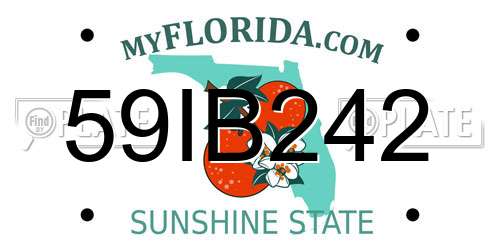 59IB242 Florida License Plate