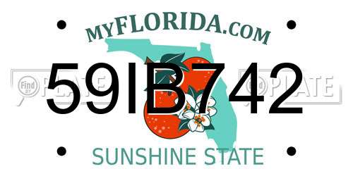 59IB742 Florida License Plate