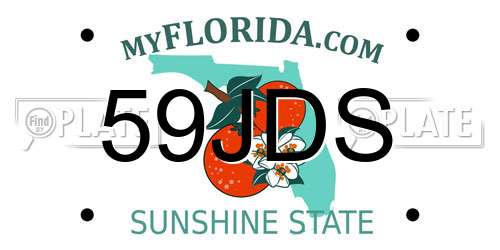 59JDS Florida License Plate