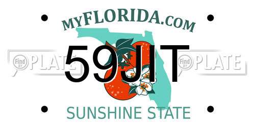 59JIT Florida License Plate