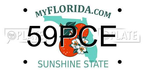 59PCE Florida License Plate