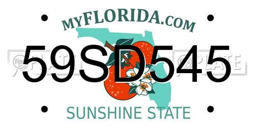 59SD545 Florida License Plate