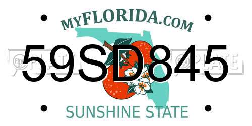 59SD845 Florida License Plate
