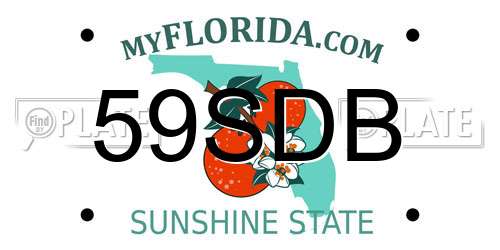 59SDB Florida License Plate