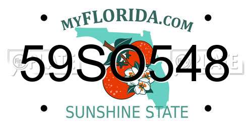 59SO548 Florida License Plate