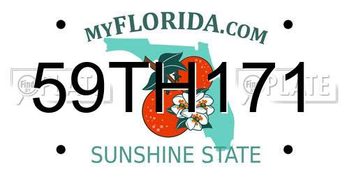 59TH171 Florida License Plate
