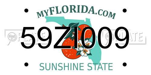 59ZI009 Florida License Plate