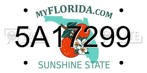 5A17299 Florida License Plate