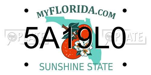 5A19L0 Florida License Plate