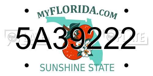5A39222 Florida License Plate