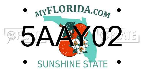 5AAY02 Florida License Plate