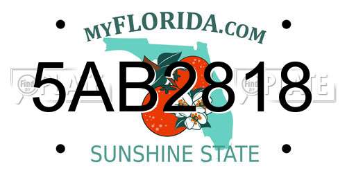 5AB2818 Florida License Plate