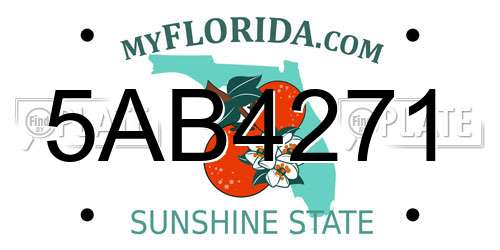 5AB4271 Florida License Plate