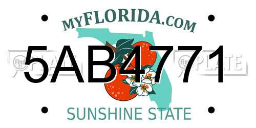 5AB4771 Florida License Plate
