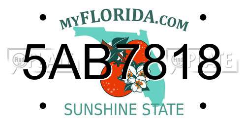5AB7818 Florida License Plate