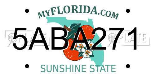 5ABA271 Florida License Plate