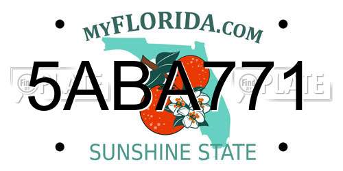 5ABA771 Florida License Plate
