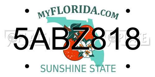 5ABZ818 Florida License Plate