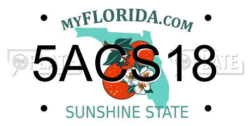 5ACS18 Florida License Plate