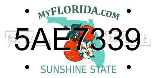 5AE7339 Florida License Plate