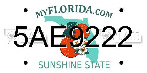 5AE9222 Florida License Plate