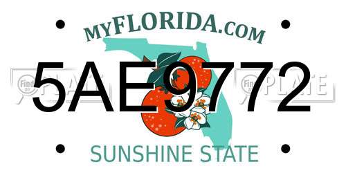 5AE9772 Florida License Plate
