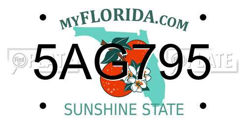 5AG795 Florida License Plate