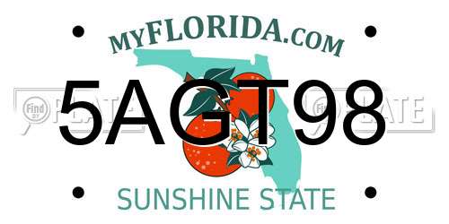 5AGT98 Florida License Plate