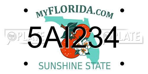 5AI234 Florida License Plate